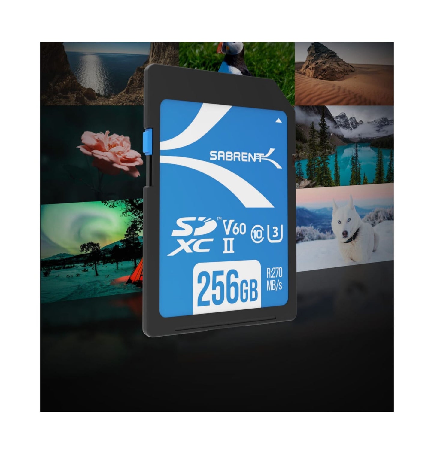 Tarjeta memoria 256GB UHS-II V60 Sabrent Rocket