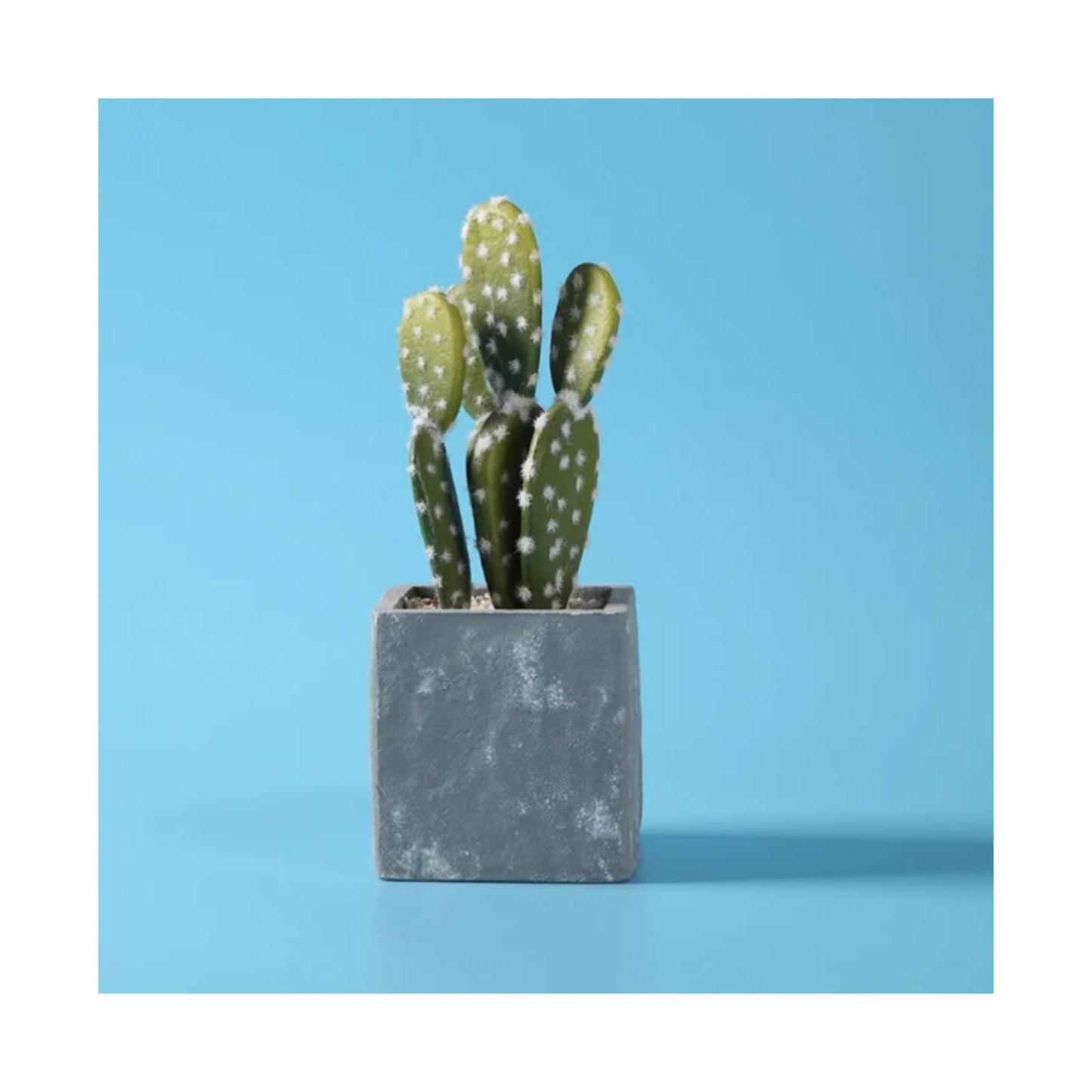 Fondo Pvc Para Fotografía 1,0 X 2.0 metros celeste