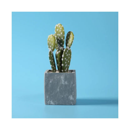 Fondo Pvc Para Fotografía 1,0 X 2.0 metros celeste