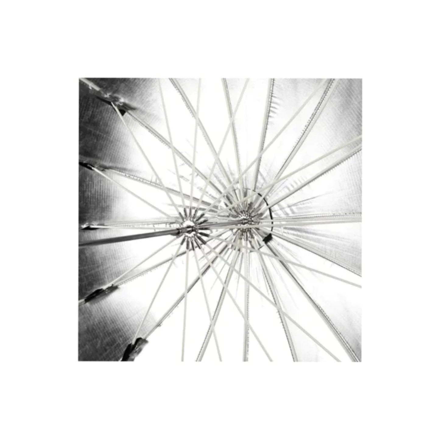 Paragua Negro Plata Reflectante (75p) 185cm Fotografía