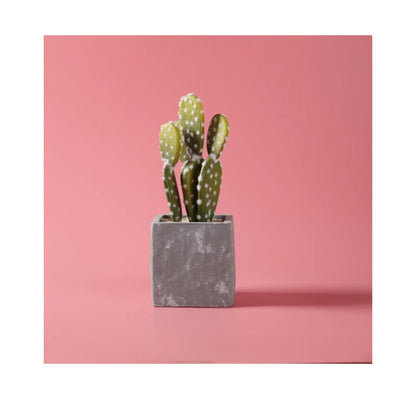 Fondo Pvc Para Fotografía 1,2 X 2.0m color rosado